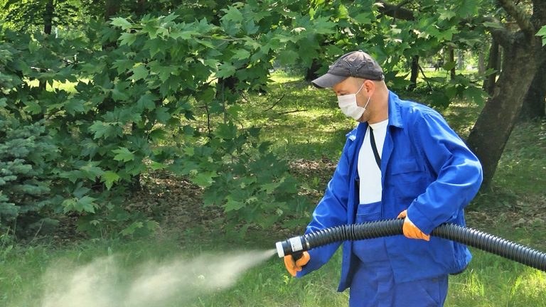 Вижте къде ще се пръска срещу комари през август