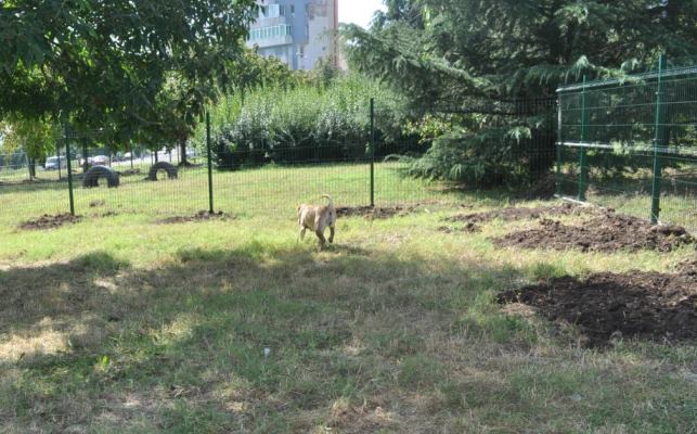 Осветяват зоната за кучета в „Меден рудник” в началото на годината