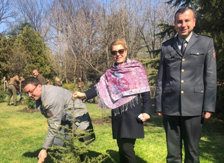 Новите попълнения в Морската градина са 15 млади атласки кедъра