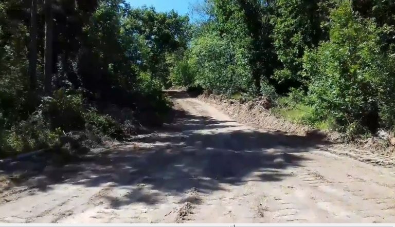 Булдозер прокара път до плаж „Листи“ в защитена местност Силистар/видео/