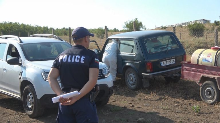 Напрежение в Зидарово, умъртвиха прасета, заради африканска чума/снимки/