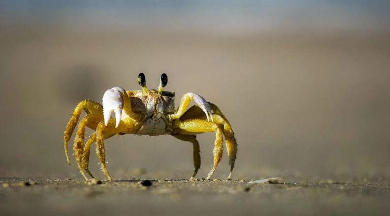 До 32 градуса край морето днес. Водата – чай