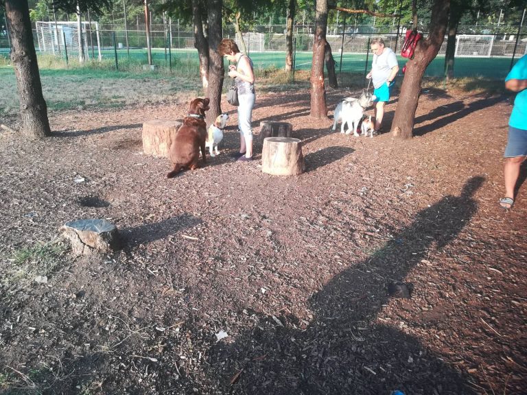 Камери следят зоната за кучета в „Меден рудник“, по искане на стопаните