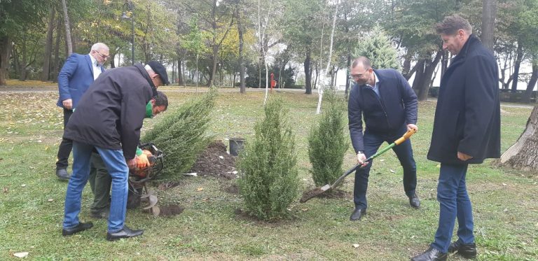 Адвокати садиха фиданки