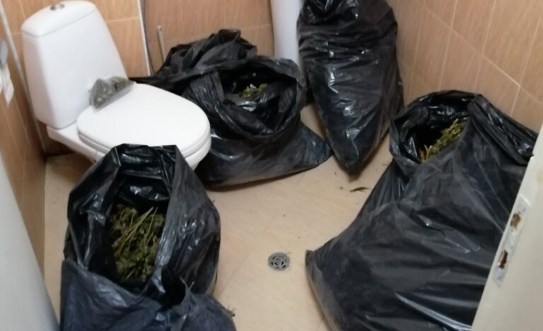 Задържаха помориец, откриха марихуана в дома му