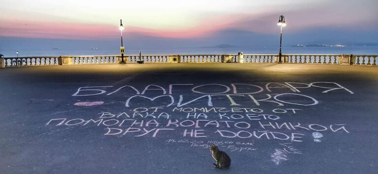Алеи на доброто в Морската по инициатива на кмета Николов