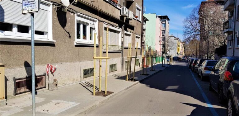 Засадиха нови дървета по улиците „Хан Крум“, „Шейново“ и „Патриарх Евтимий“