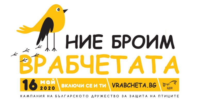 Броим врабчетата на 16 май за четвърти път