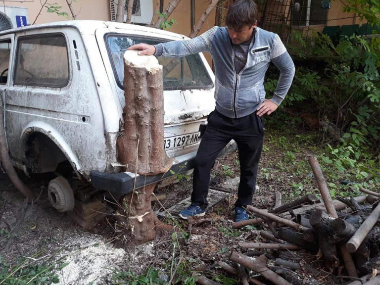 Дърво порасна през изоставен автомобил в общински имот