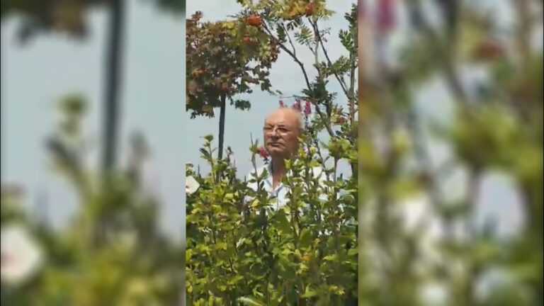 Доган пожела „Успех“ на участниците в „Dogan Saray beach Festival“, помаха от храстите и ги почерпи със сладолед /снимки + видео/