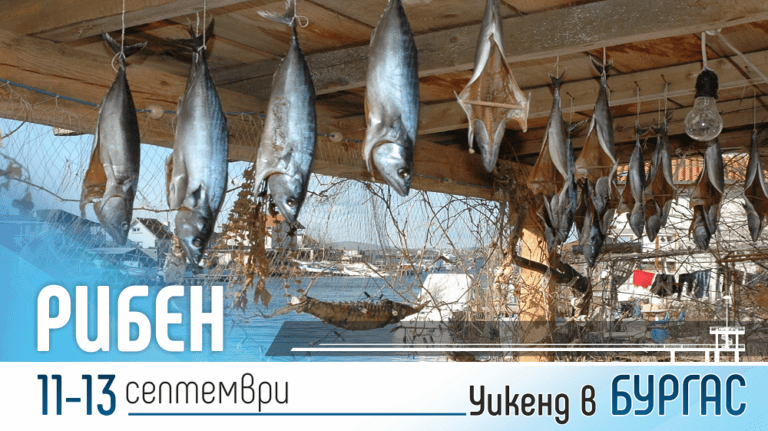 Рибни блюда, кино под звездите и концерти през уикенда