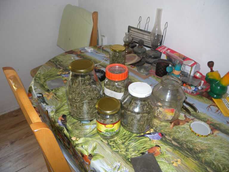 12 души задържани при спецакция за разпространение на наркотици около училища в Бургас /снимки/