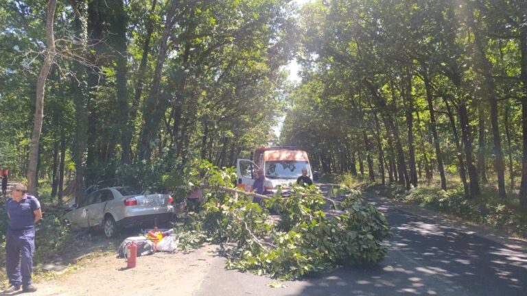 Трима пострадали след катастрофа до Приморско