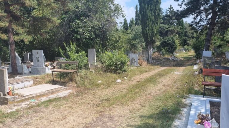 Чакат ДНК анализ, за да се установи дали открите части от тяло са на изчезналата брокерка Теодора Бахлова