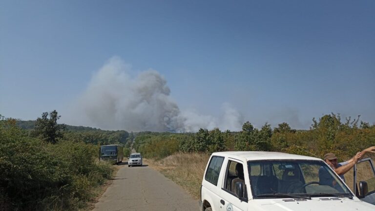 Обстановката край Кубадин се нормализира, пожарникарите остават на място заради очакван силен вятър