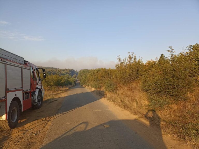 Обявиха бедствено положение в Община Средец заради пожар в с. Кубадин