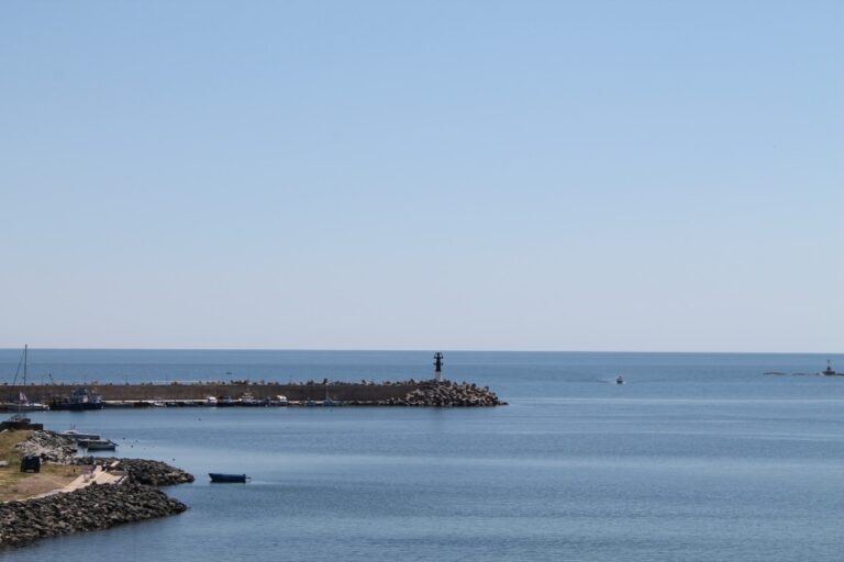 Активни потребители и МЗ започват общо набиране на проби от морската вода край Царево