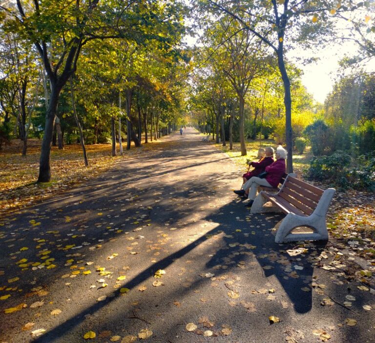 Поставиха нови пейки в парк „Езеро“
