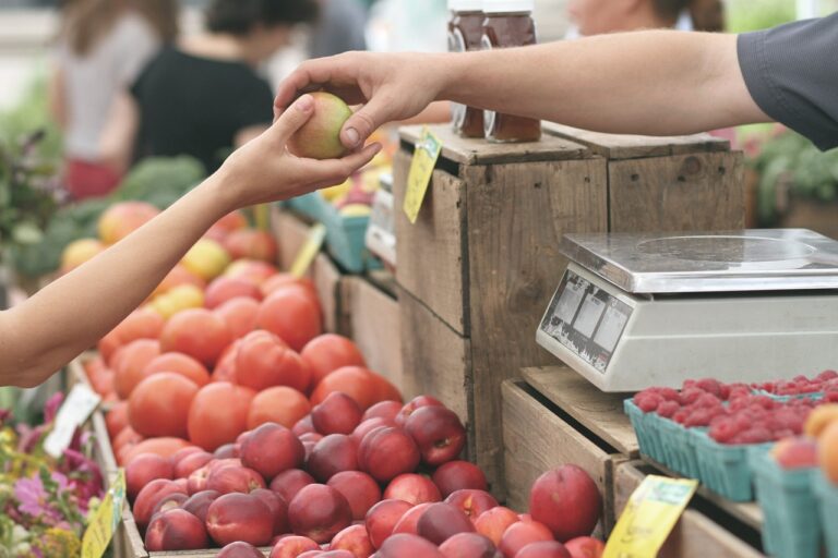 България се нареди на първите места в ЕС по скъпи храни! Млякото, сиренето и яйцата са с близо 26% по-висока цена отколкото в Австрия