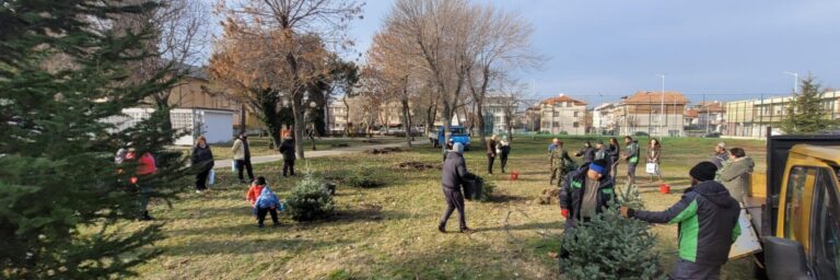 Да дадем втори живот на коледните елхи в Поморие