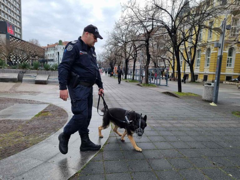 Тригодишният Аякс и още следови кучета охраняват обществения ред в Бургас