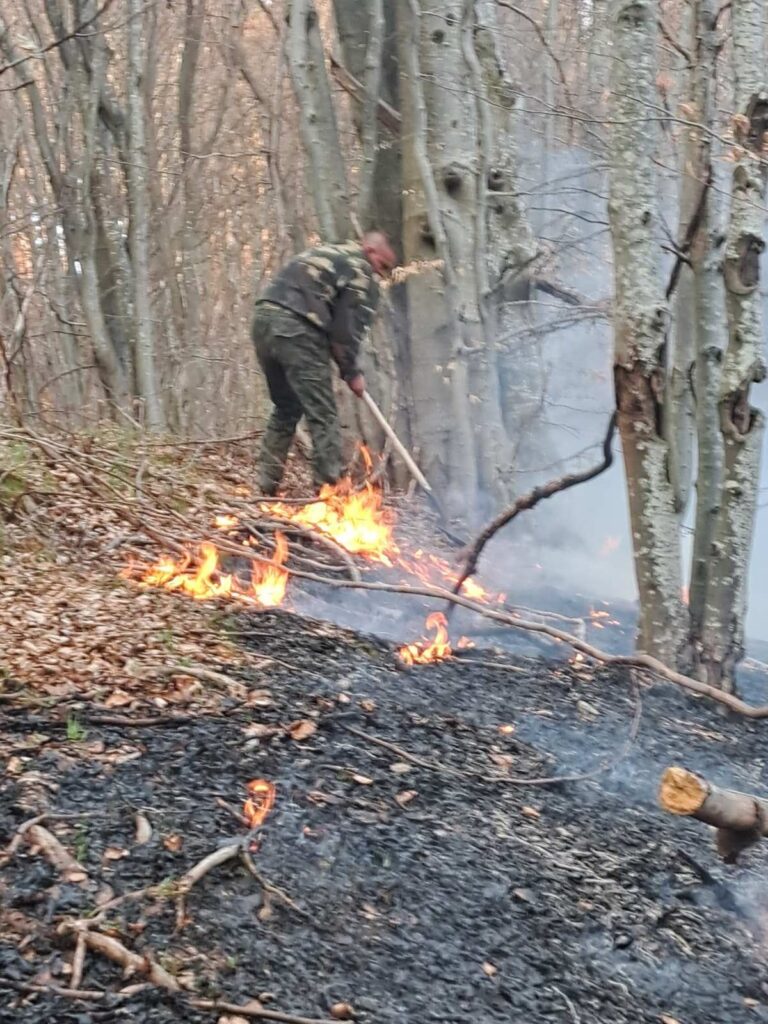 Два големи пожара в района на Копривщица