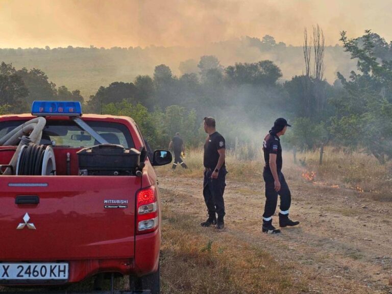 Бедствено положение в Сакар планина заради пожарите