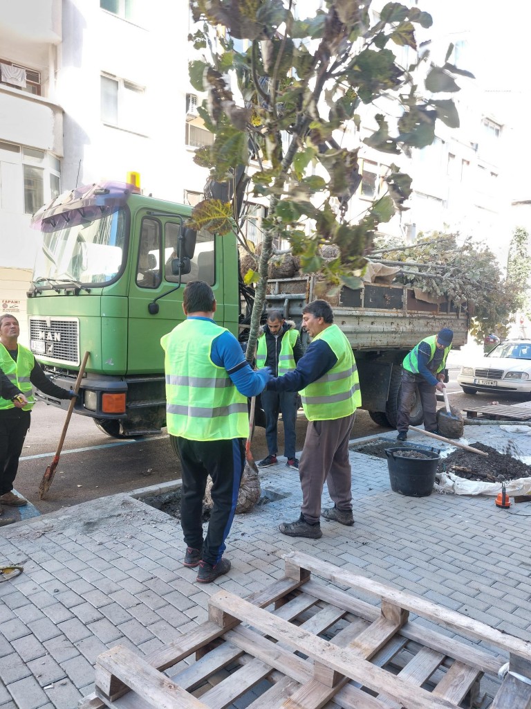 933515e00c1a190d9ba0c1119a370268