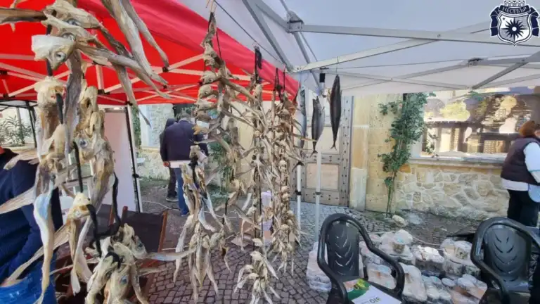 „Есенни пасажи“- рибна фиеста и ветроходство в Несебър /програма/