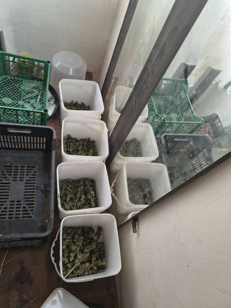 viber_image_2025-10-29_15-37-41-175