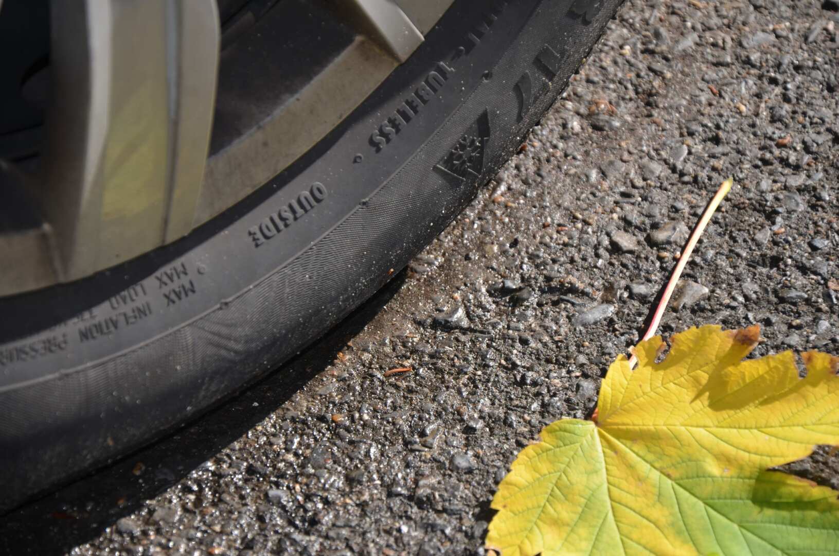 574327302_1223004479652870_1434584859801489929_n