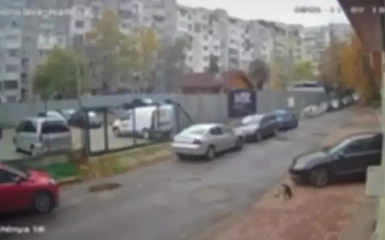 Лекар умишлено прегази и уби куче