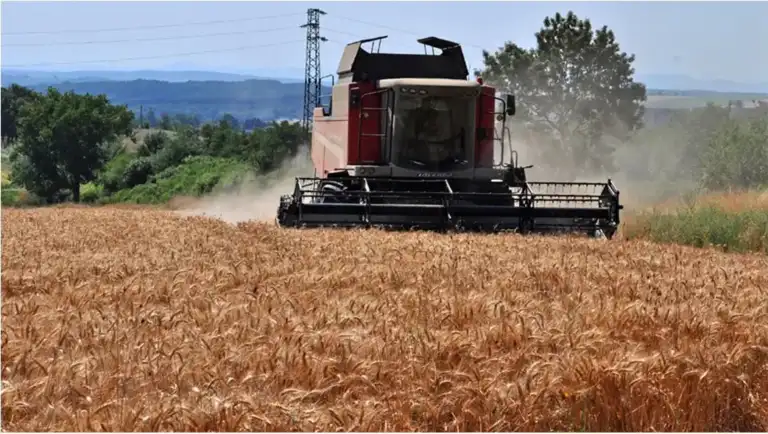 Разследване на Европейската прокуратура : Схема за измами със земеделски субсидии разкрита в Бургас
